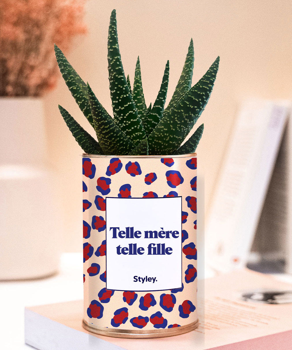 Telle mère telle fille - Plante grasse