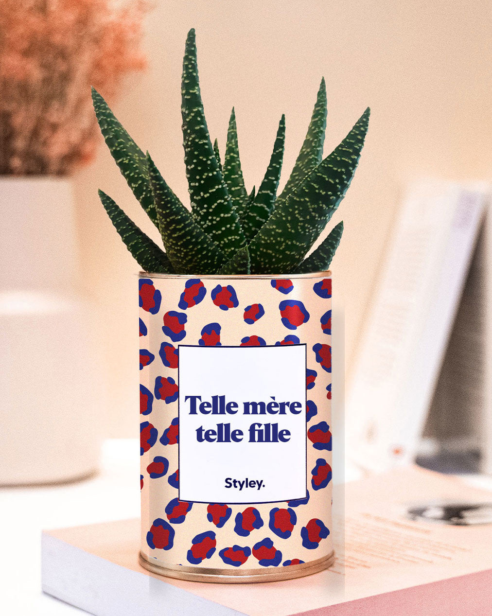 Telle mère telle fille - Plante grasse