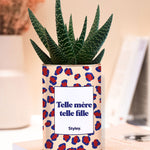 Telle mère telle fille - Plante grasse
