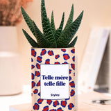 Telle mère telle fille - Plante grasse