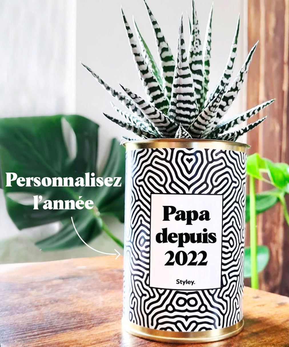 Papa depuis, année personnalisable - Plante grasse