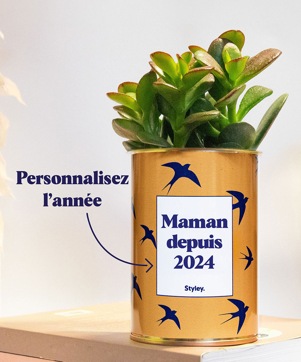 Maman depuis, année personnalisable - Plante grasse
