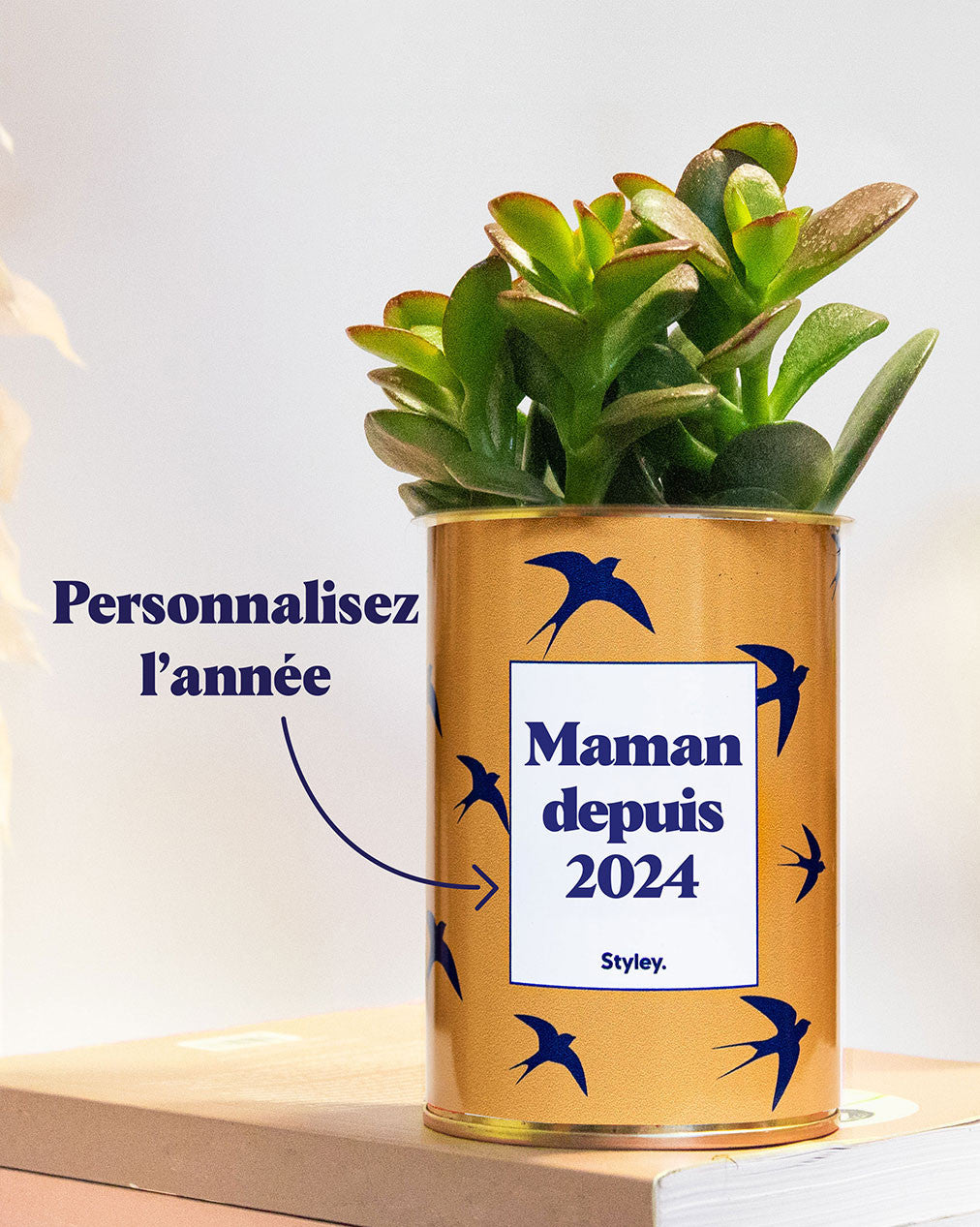 Maman depuis, année personnalisable - Plante grasse