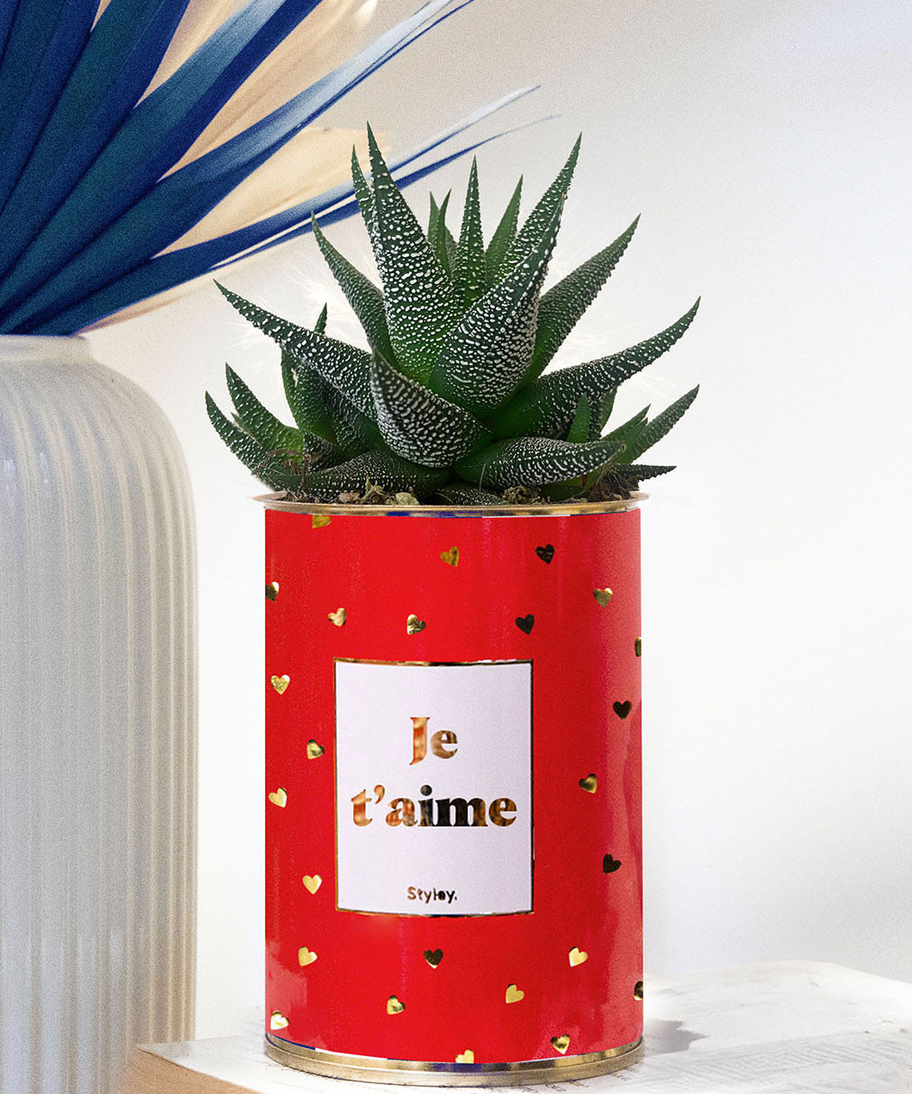 Je t'aime doré - Cactus