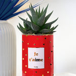 Je t'aime doré - Cactus