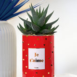 Je t'aime doré - Cactus