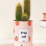 P'tit cul - Cactus