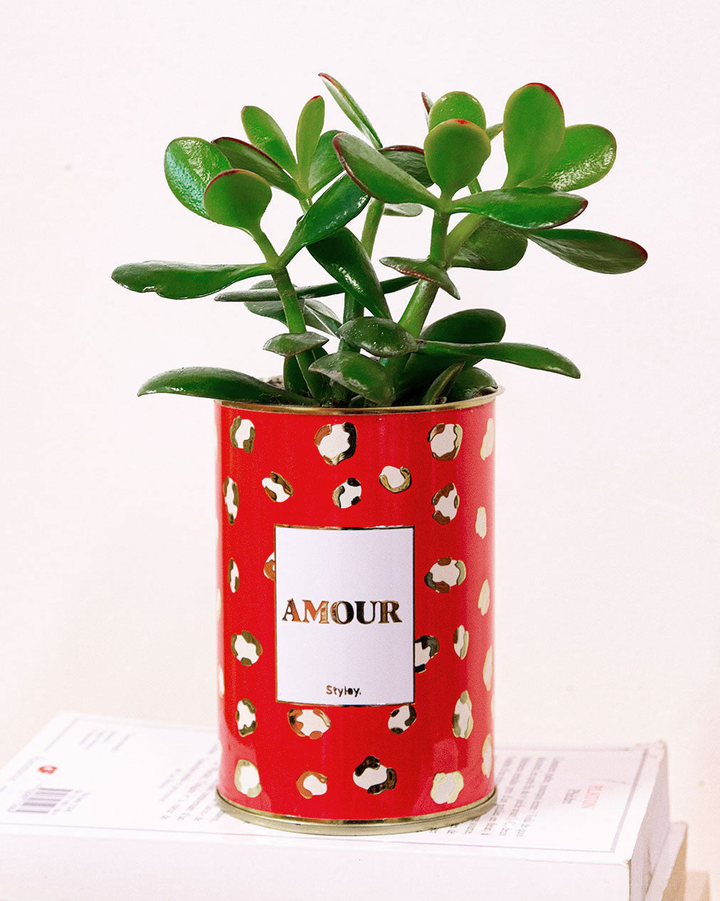 Amour - Cactus - Finitions gold