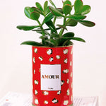 Amour - Cactus - Finitions gold