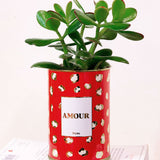 Amour - Cactus - Finitions gold