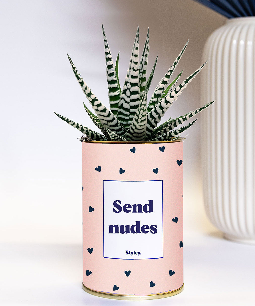 Send nudes - Cactus