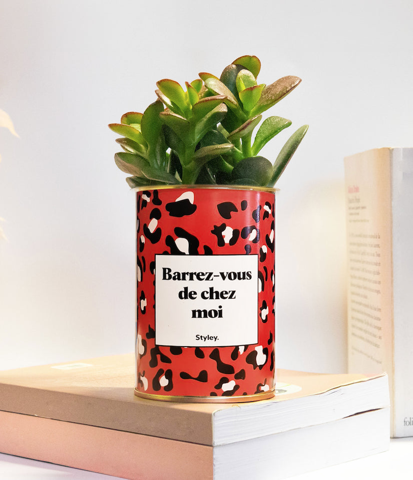 Barrez-vous de chez moi - Cactus